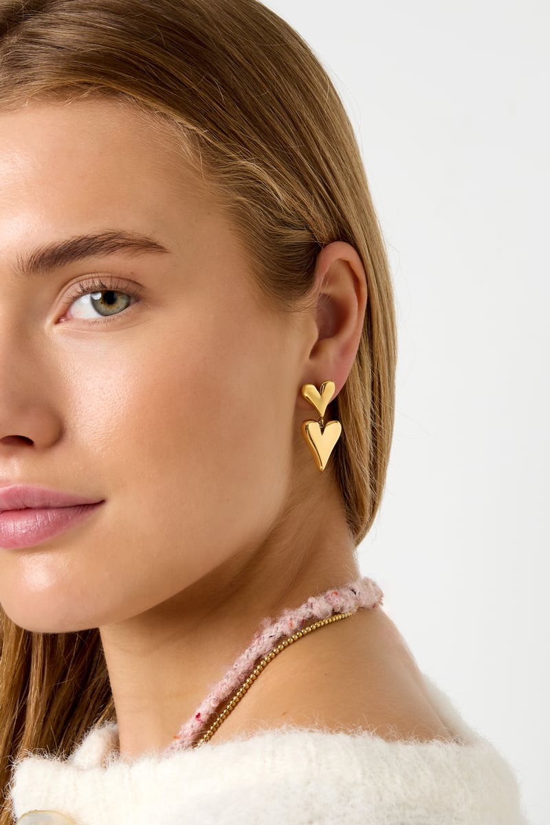 Dubbel hart oorbellen - Goud en zilver