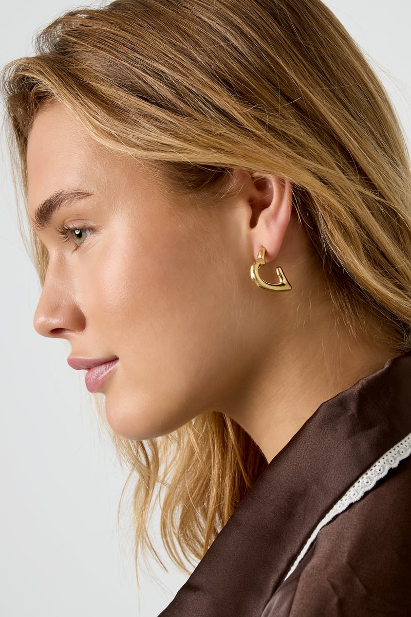 Hoop Earrings Heart Casual Daily Simple Series Women's jewelry