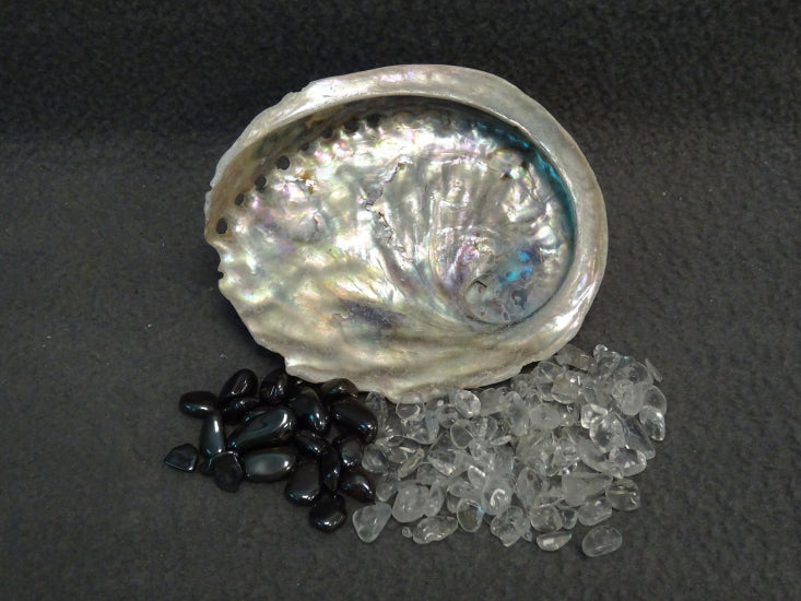 Abalone schelp met op- en ontlaad set klein